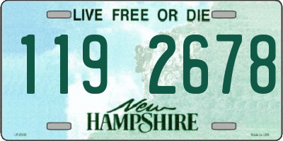 NH license plate 1192678