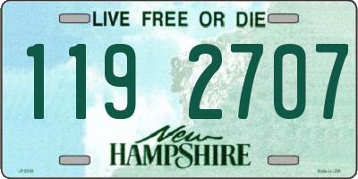 NH license plate 1192707