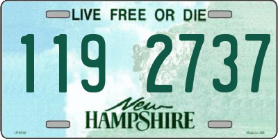 NH license plate 1192737