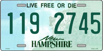 NH license plate 1192745