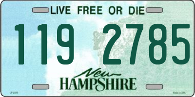 NH license plate 1192785