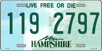 NH license plate 1192797