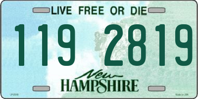 NH license plate 1192819