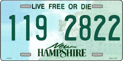 NH license plate 1192822