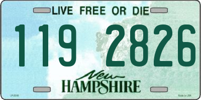 NH license plate 1192826