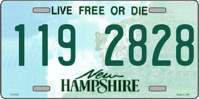 NH license plate 1192828