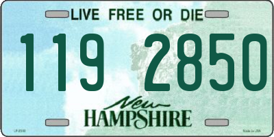 NH license plate 1192850