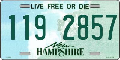 NH license plate 1192857