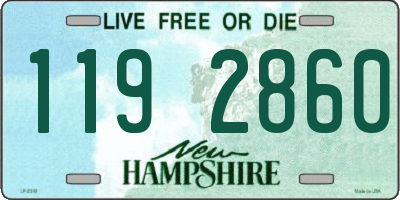 NH license plate 1192860