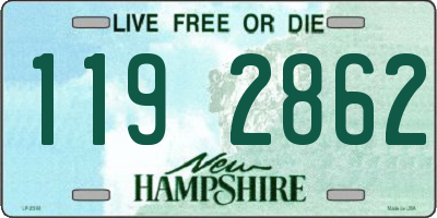 NH license plate 1192862