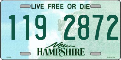 NH license plate 1192872