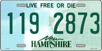 NH license plate 1192873