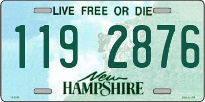 NH license plate 1192876