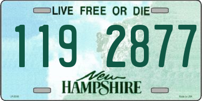 NH license plate 1192877