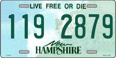 NH license plate 1192879