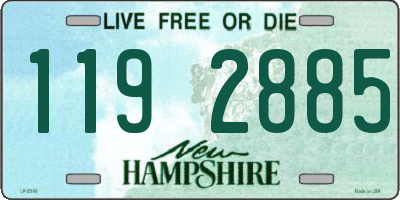 NH license plate 1192885