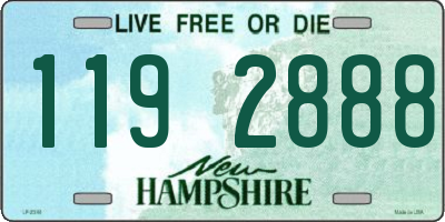 NH license plate 1192888