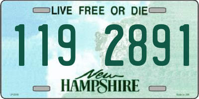 NH license plate 1192891