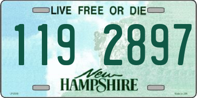 NH license plate 1192897