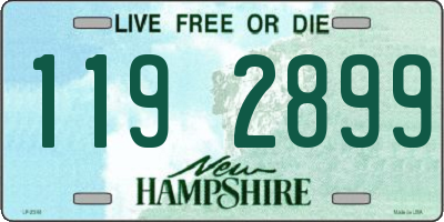 NH license plate 1192899