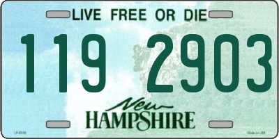 NH license plate 1192903