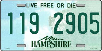NH license plate 1192905