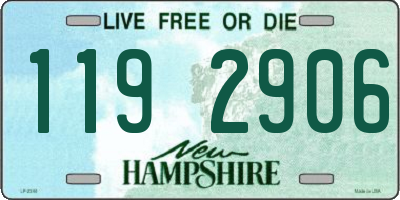 NH license plate 1192906