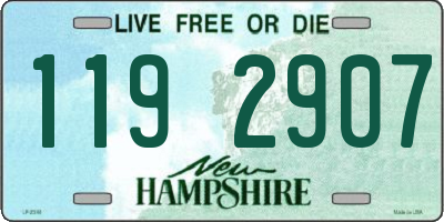 NH license plate 1192907