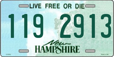 NH license plate 1192913