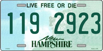 NH license plate 1192923