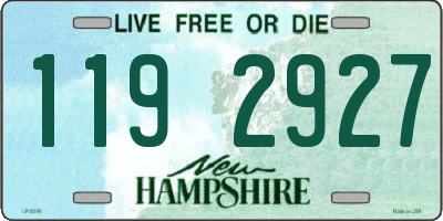 NH license plate 1192927