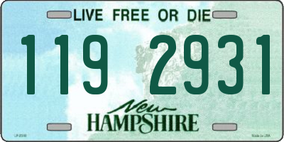 NH license plate 1192931