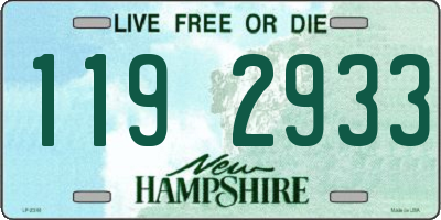 NH license plate 1192933