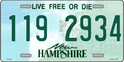 NH license plate 1192934