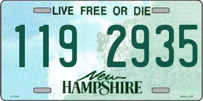 NH license plate 1192935