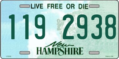 NH license plate 1192938