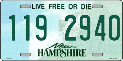 NH license plate 1192940