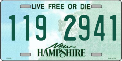 NH license plate 1192941
