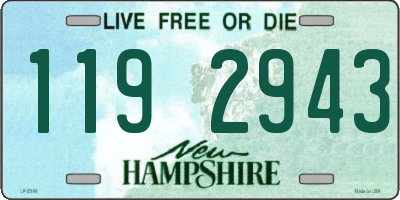 NH license plate 1192943