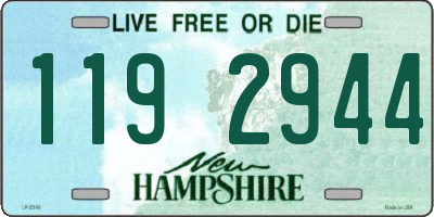 NH license plate 1192944
