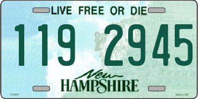 NH license plate 1192945