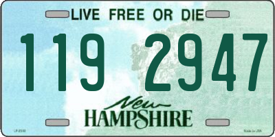 NH license plate 1192947