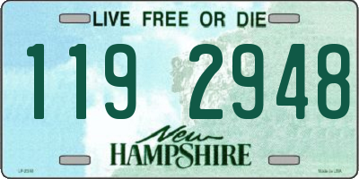 NH license plate 1192948