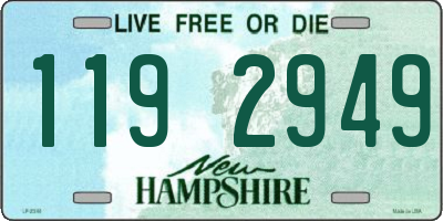 NH license plate 1192949