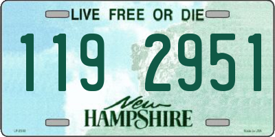 NH license plate 1192951
