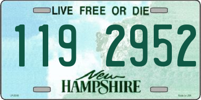 NH license plate 1192952