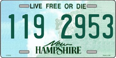 NH license plate 1192953