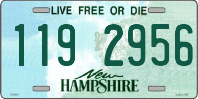 NH license plate 1192956