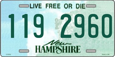 NH license plate 1192960