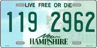 NH license plate 1192962